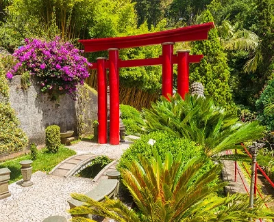 Jardin japones